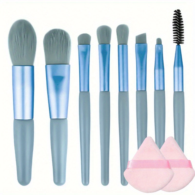 Professional Brush Set